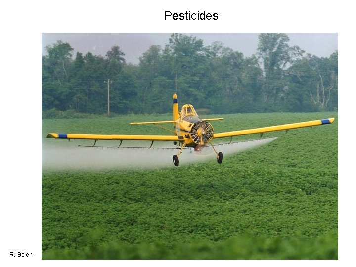 Pesticides R. Bolen 