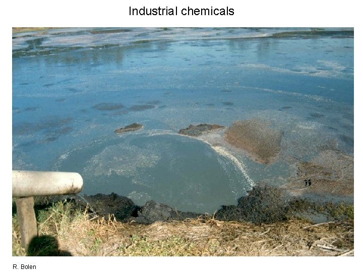 Industrial chemicals R. Bolen 