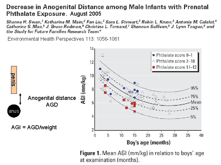 . August 2005 Environmental Health Perspectives 113: 1056 -1061 penis Anogenital distance AGD anus