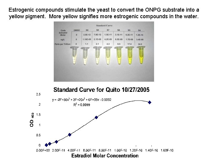 Estrogenic compounds stimulate the yeast to convert the ONPG substrate into a yellow pigment.