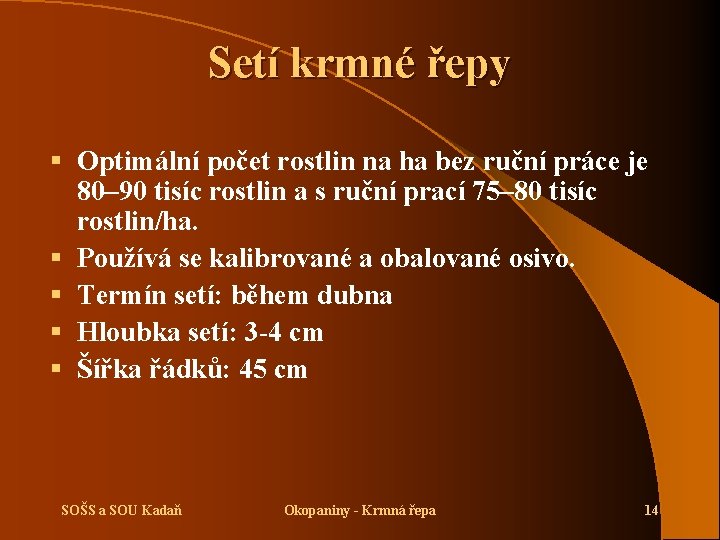 Setí krmné řepy § Optimální počet rostlin na ha bez ruční práce je 80–