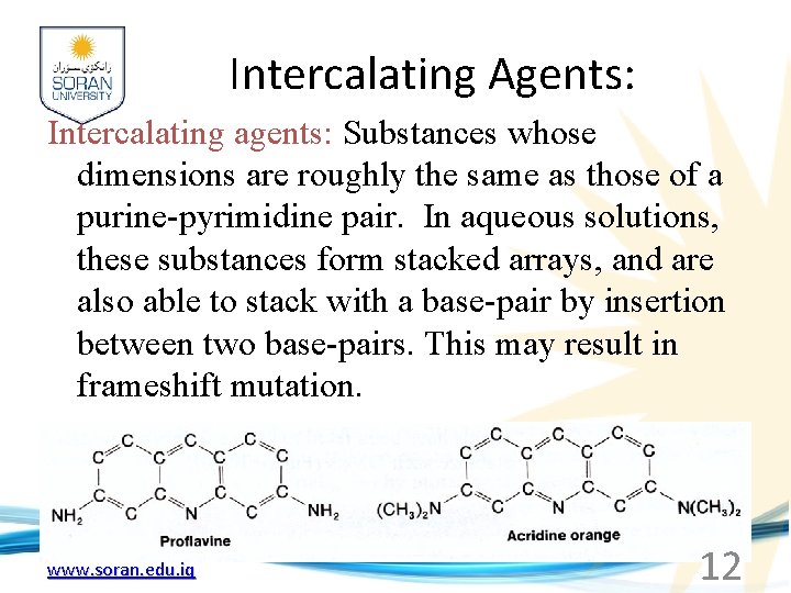 Intercalating Agents: Intercalating agents: Substances whose dimensions are roughly the same as those of