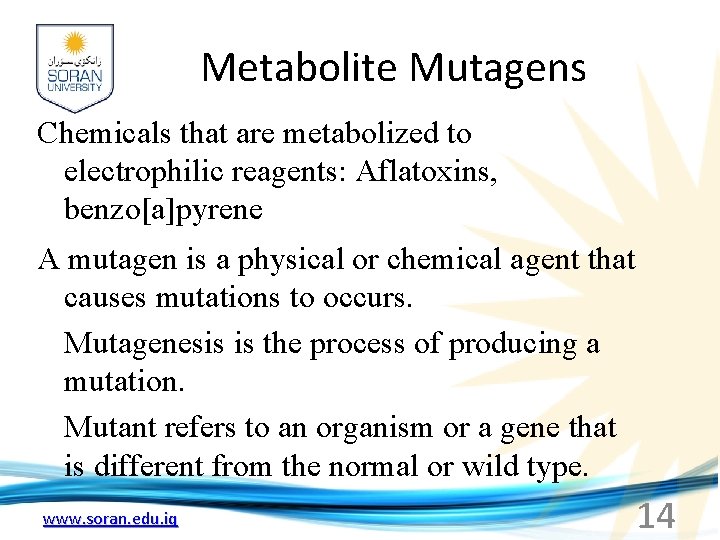 Metabolite Mutagens Chemicals that are metabolized to electrophilic reagents: Aflatoxins, benzo[a]pyrene A mutagen is