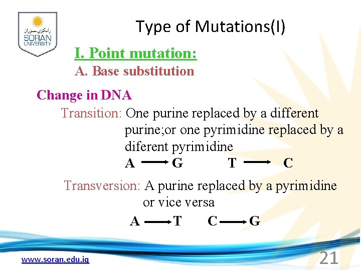 Type of Mutations(I) I. Point mutation: A. Base substitution Change in DNA Transition: One