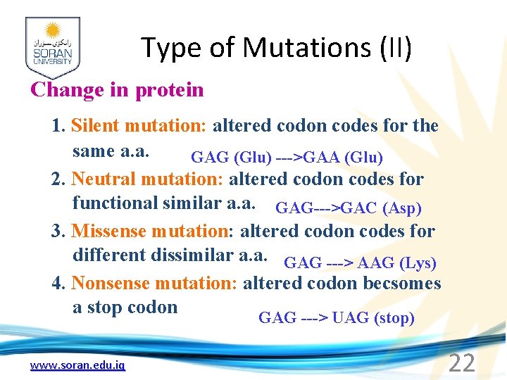 Type of Mutations (II) Change in protein 1. Silent mutation: altered codon codes for