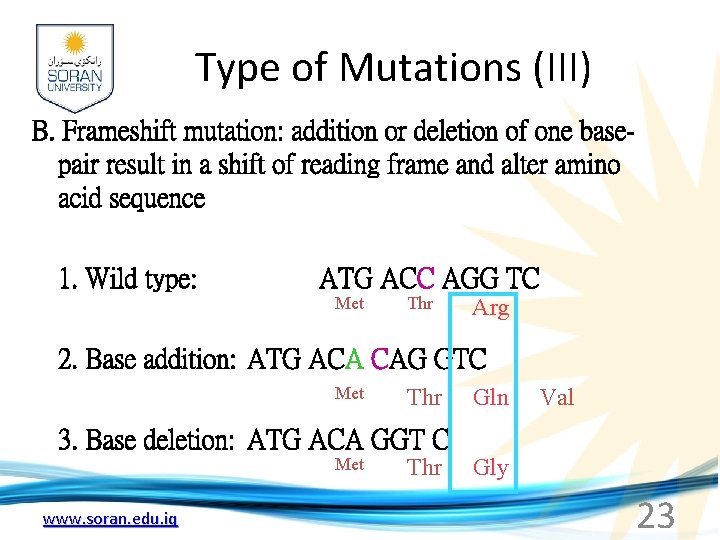 Type of Mutations (III) B. Frameshift mutation: addition or deletion of one basepair result