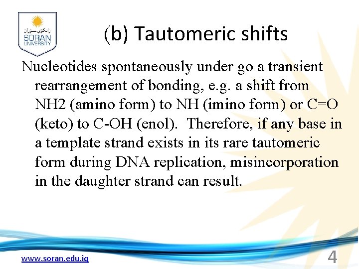 (b) Tautomeric shifts Nucleotides spontaneously under go a transient rearrangement of bonding, e. g.