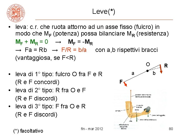 Leve(*) • leva: c. r. che ruota attorno ad un asse fisso (fulcro) in