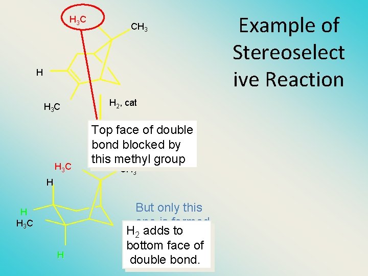 H 3 C CH 3 H H 3 C H 2, cat Top face