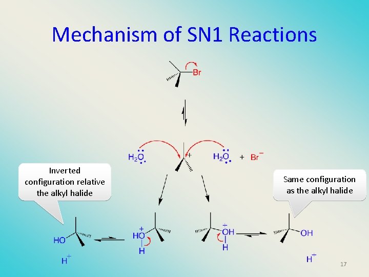 Mechanism of SN 1 Reactions Inverted configuration relative the alkyl halide Same configuration as