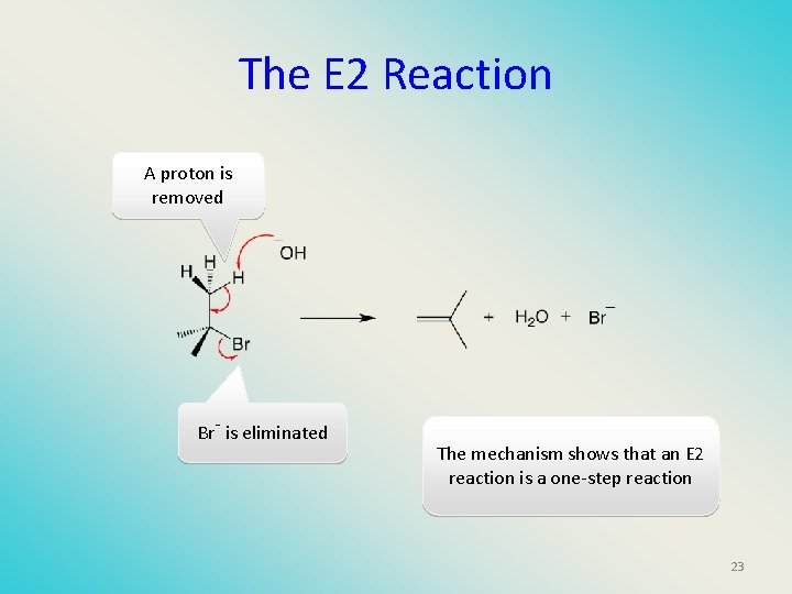 The E 2 Reaction A proton is removed Br- is eliminated The mechanism shows