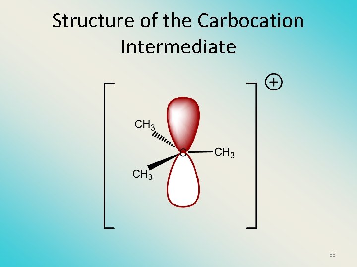 Structure of the Carbocation Intermediate 55 
