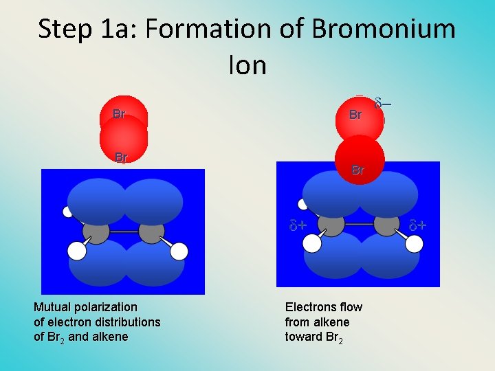 Step 1 a: Formation of Bromonium Ion Br Br + Mutual polarization of electron