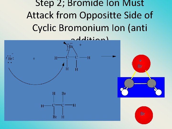 Step 2; Bromide Ion Must Attack from Oppositte Side of Cyclic Bromonium Ion (anti