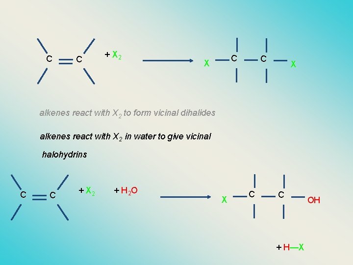 C C + X 2 C X alkenes react with X 2 to form