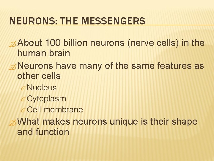 NEURONS: THE MESSENGERS About 100 billion neurons (nerve cells) in the human brain Neurons