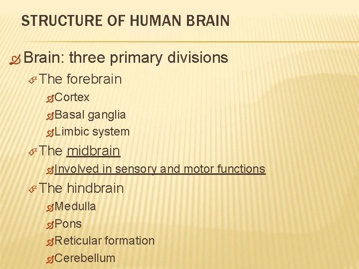 STRUCTURE OF HUMAN BRAIN Brain: The three primary divisions forebrain Cortex Basal ganglia Limbic