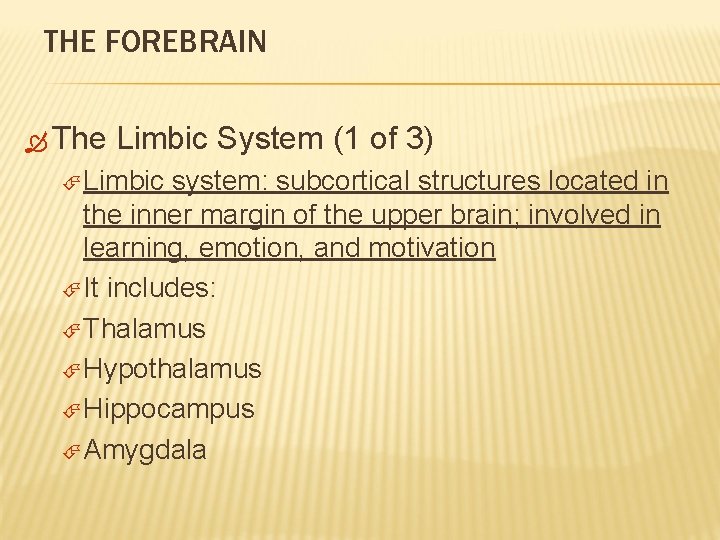 THE FOREBRAIN The Limbic System (1 of 3) Limbic system: subcortical structures located in