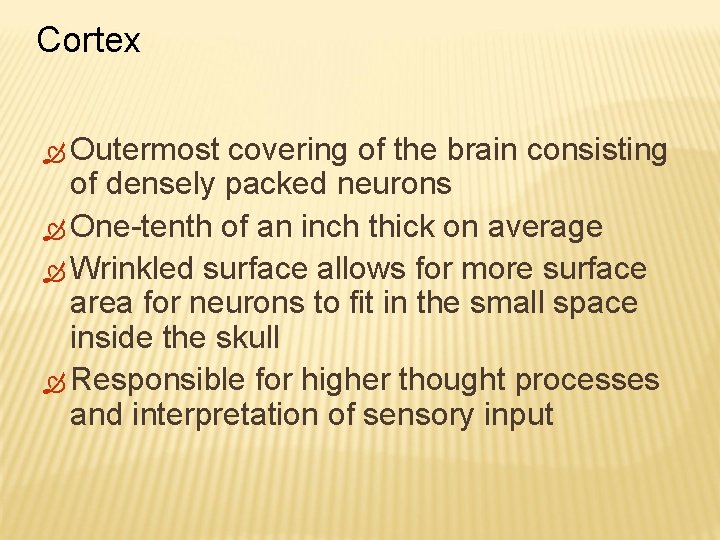 Cortex Outermost covering of the brain consisting of densely packed neurons One-tenth of an
