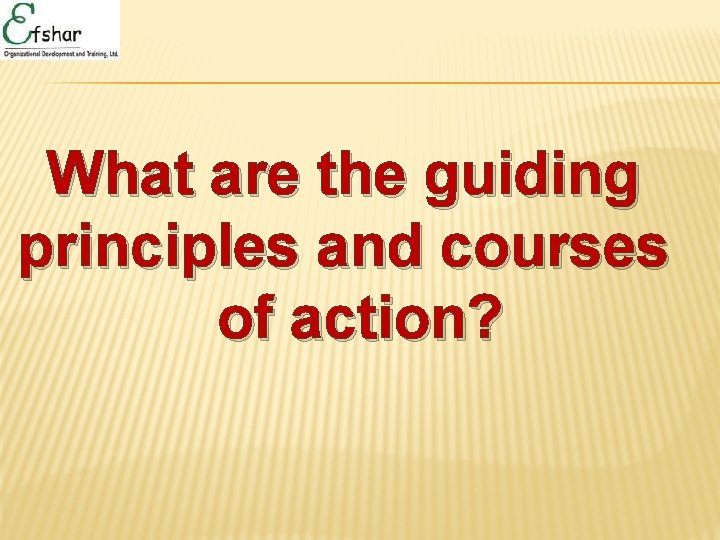 What are the guiding principles and courses of action? 