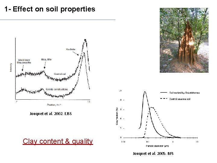 1 - Effect on soil properties Jouquet et al. 2002. EJSS Clay content &