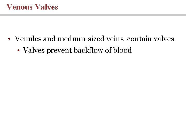 Venous Valves • Venules and medium-sized veins contain valves • Valves prevent backflow of