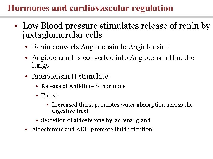 Hormones and cardiovascular regulation • Low Blood pressure stimulates release of renin by juxtaglomerular