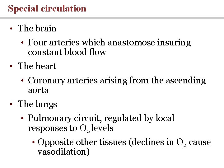 Special circulation • The brain • Four arteries which anastomose insuring constant blood flow