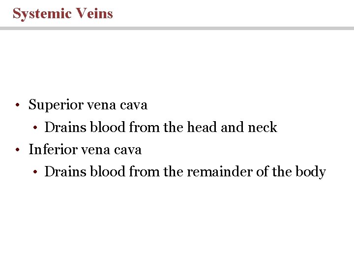 Systemic Veins • Superior vena cava • Drains blood from the head and neck