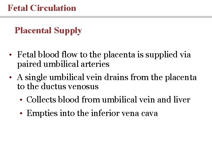 Fetal Circulation Placental Supply • Fetal blood flow to the placenta is supplied via