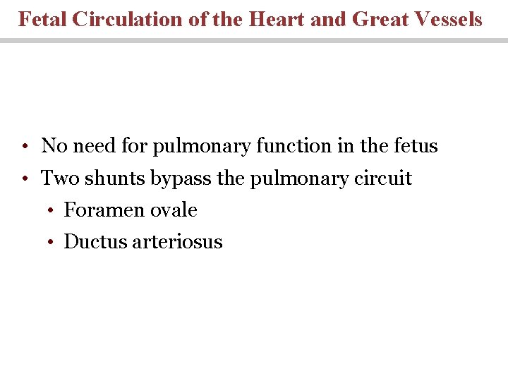Fetal Circulation of the Heart and Great Vessels • No need for pulmonary function