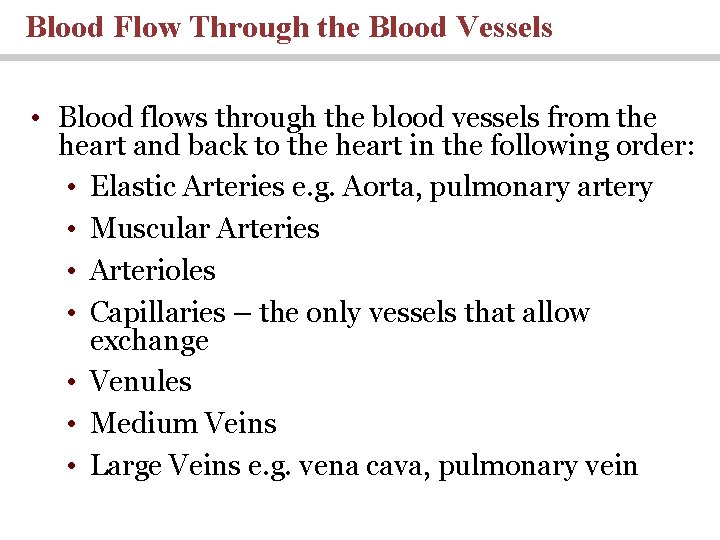 Blood Flow Through the Blood Vessels • Blood flows through the blood vessels from