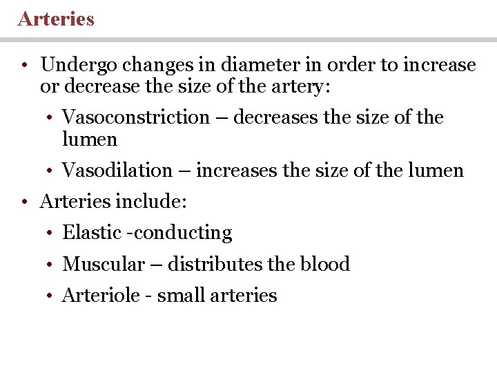 Arteries • Undergo changes in diameter in order to increase or decrease the size