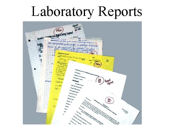 Laboratory Reports 