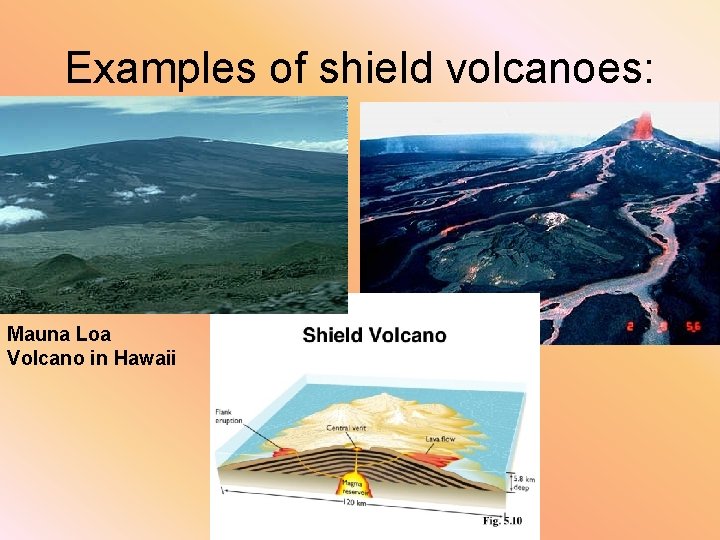 Examples of shield volcanoes: Mauna Loa Volcano in Hawaii 