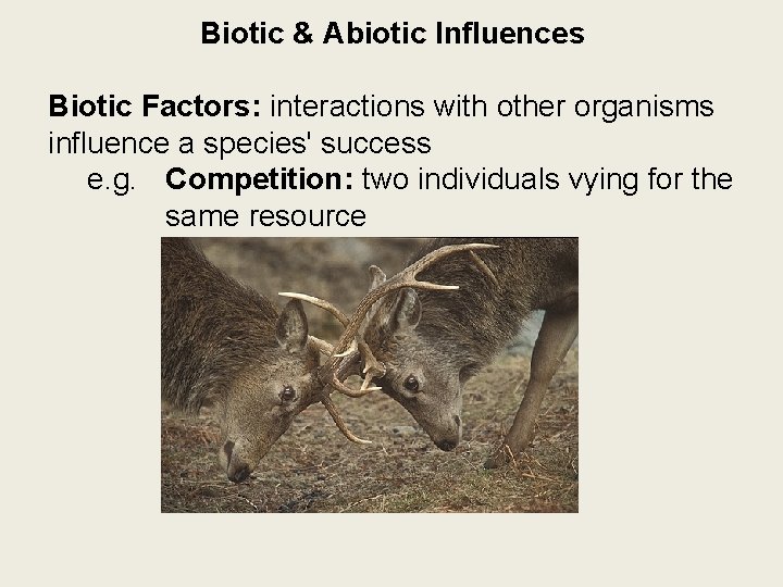 Biotic & Abiotic Influences Biotic Factors: interactions with other organisms influence a species' success