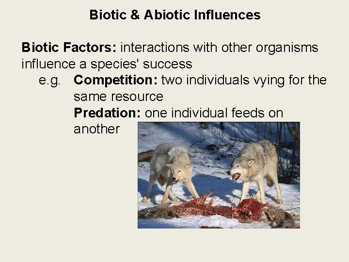 Biotic & Abiotic Influences Biotic Factors: interactions with other organisms influence a species' success