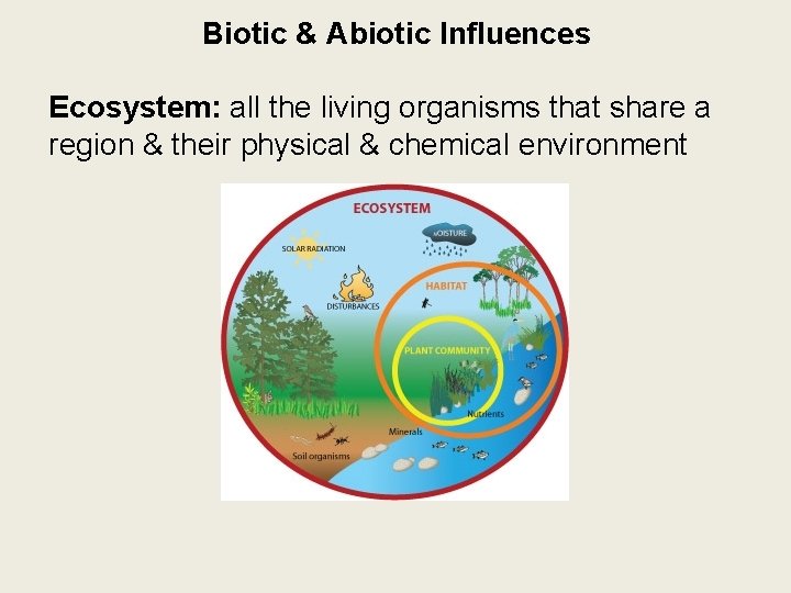 Biotic & Abiotic Influences Ecosystem: all the living organisms that share a region &