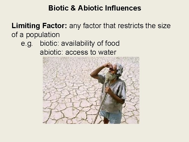 Biotic & Abiotic Influences Limiting Factor: any factor that restricts the size of a