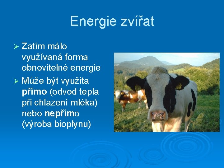 Energie zvířat Zatím málo využívaná forma obnovitelné energie Ø Může být využita přímo (odvod