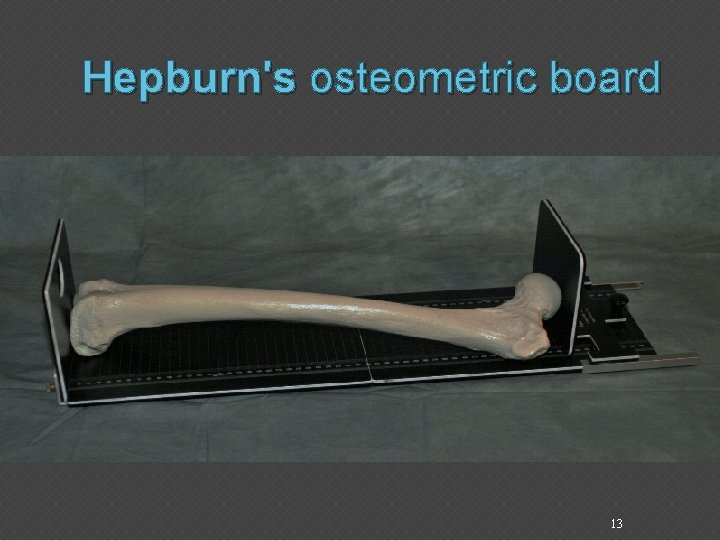 Hepburn's osteometric board 13 
