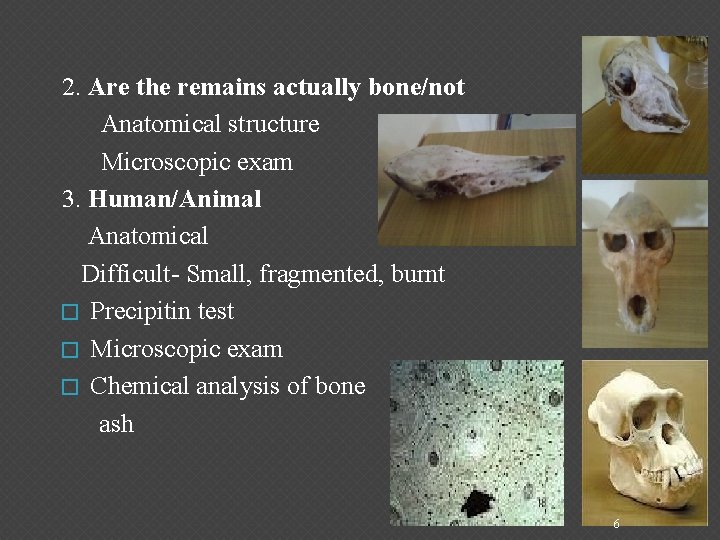  2. Are the remains actually bone/not Anatomical structure Microscopic exam 3. Human/Animal Anatomical
