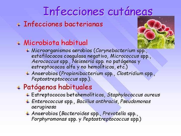 Infecciones cutáneas Infecciones bacterianas Microbiota habitual Microorganismos aerobios (Corynebacterium spp. , estafilococos coagulasa negativo,