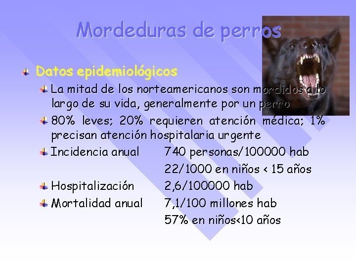 Mordeduras de perros Datos epidemiológicos La mitad de los norteamericanos son mordidos a lo