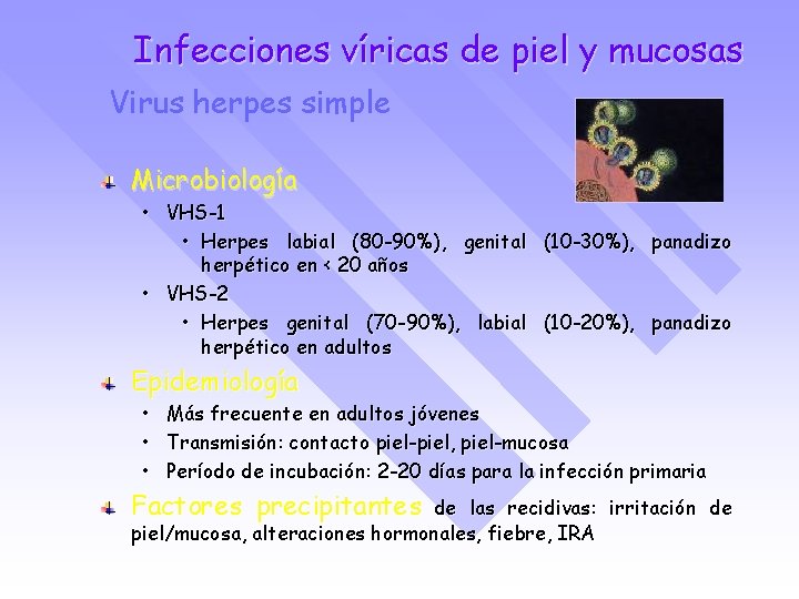 Infecciones víricas de piel y mucosas Virus herpes simple Microbiología • VHS-1 • Herpes