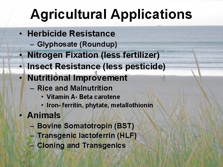 Agricultural Applications • Herbicide Resistance – Glyphosate (Roundup) • Nitrogen Fixation (less fertilizer) •