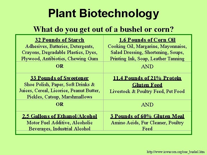 Plant Biotechnology What do you get out of a bushel or corn? 32 Pounds