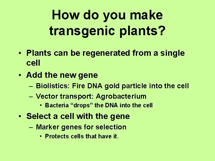 How do you make transgenic plants? • Plants can be regenerated from a single