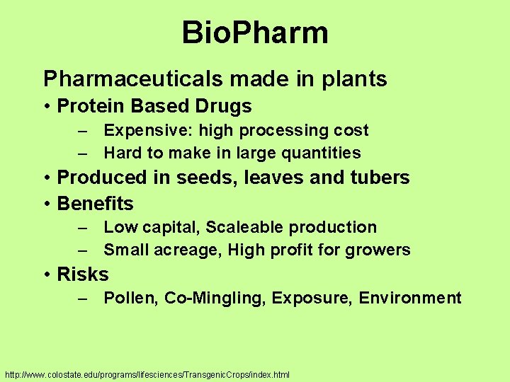 Bio. Pharmaceuticals made in plants • Protein Based Drugs – Expensive: high processing cost