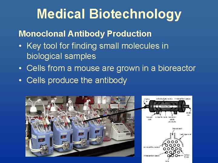 Medical Biotechnology Monoclonal Antibody Production • Key tool for finding small molecules in biological
